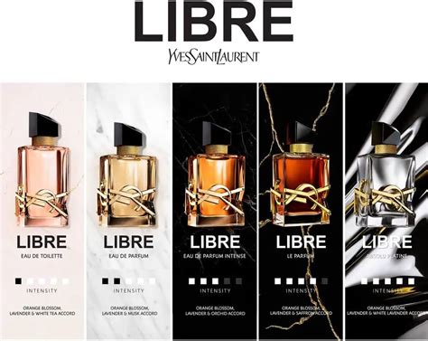 libre intense reviews.